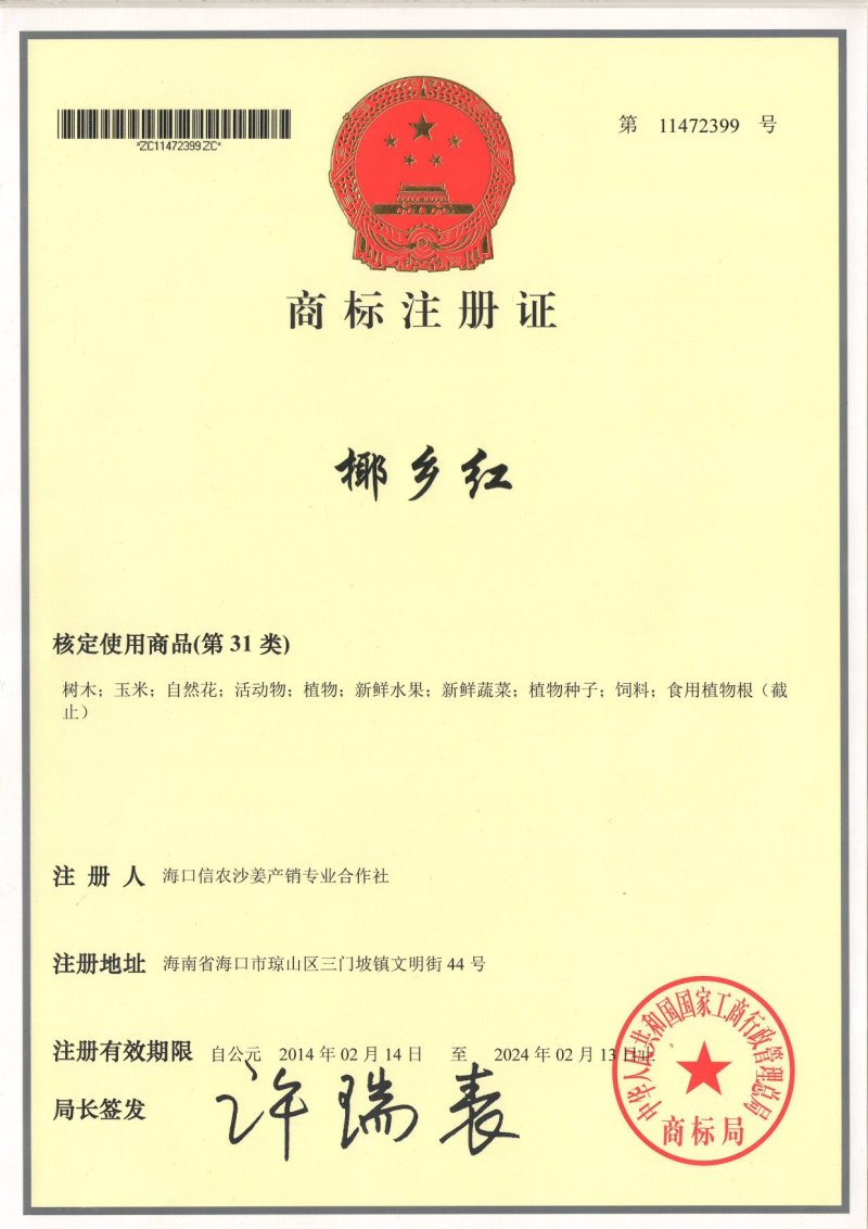 琼台福地火山产品:椰乡红牌沙姜，是健康长寿的食用佳品。