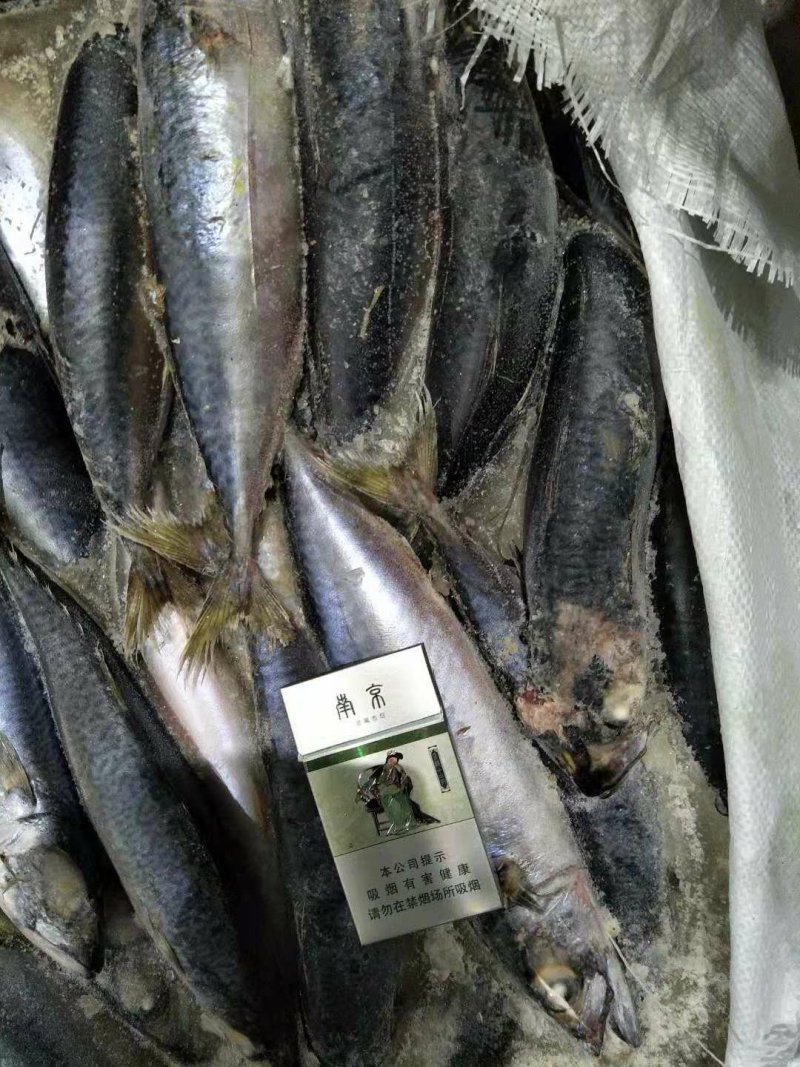 冰鲜，冻品