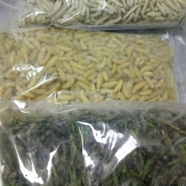 云南野生菌