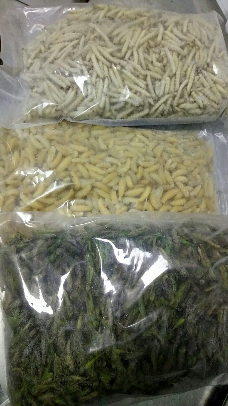 云南野生菌