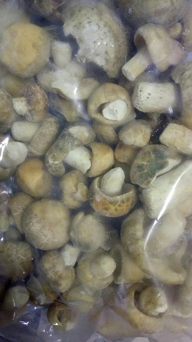 云南野生菌