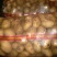 土豆种子：亩产高适应范围广，黄心和白心品种齐全。