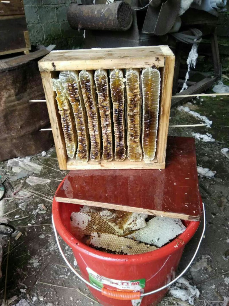 世界长寿市南乡腊鸭