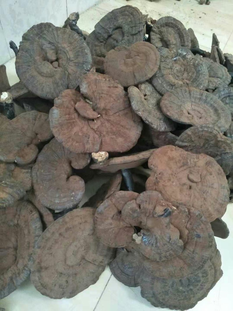 禽畜初加工品