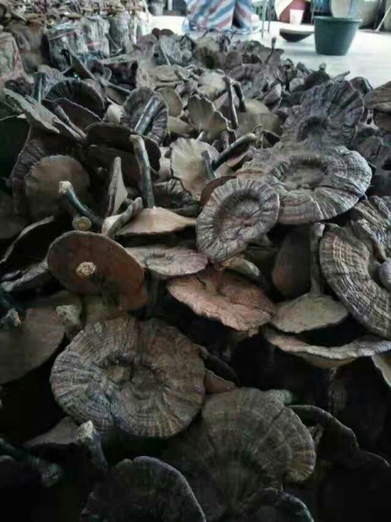 禽畜初加工品