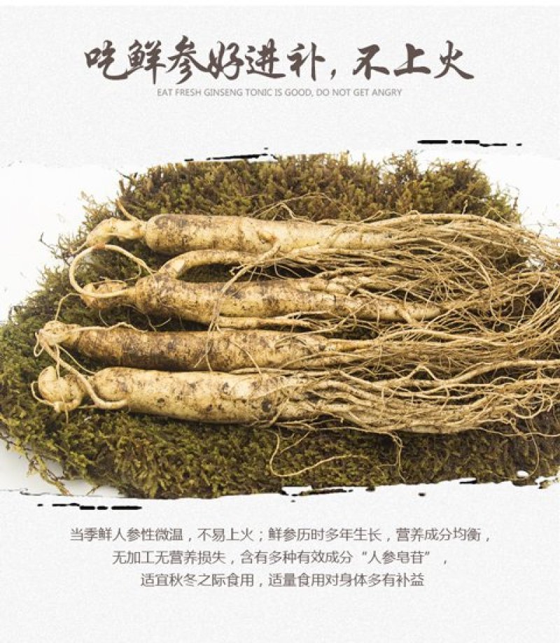 人参一斤12头到15头鲜参