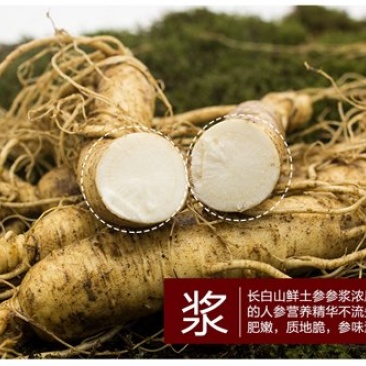 人参一斤12头到15头鲜参