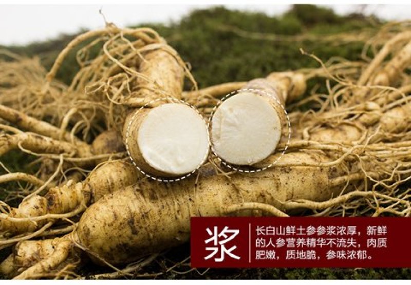 人参一斤12头到15头鲜参
