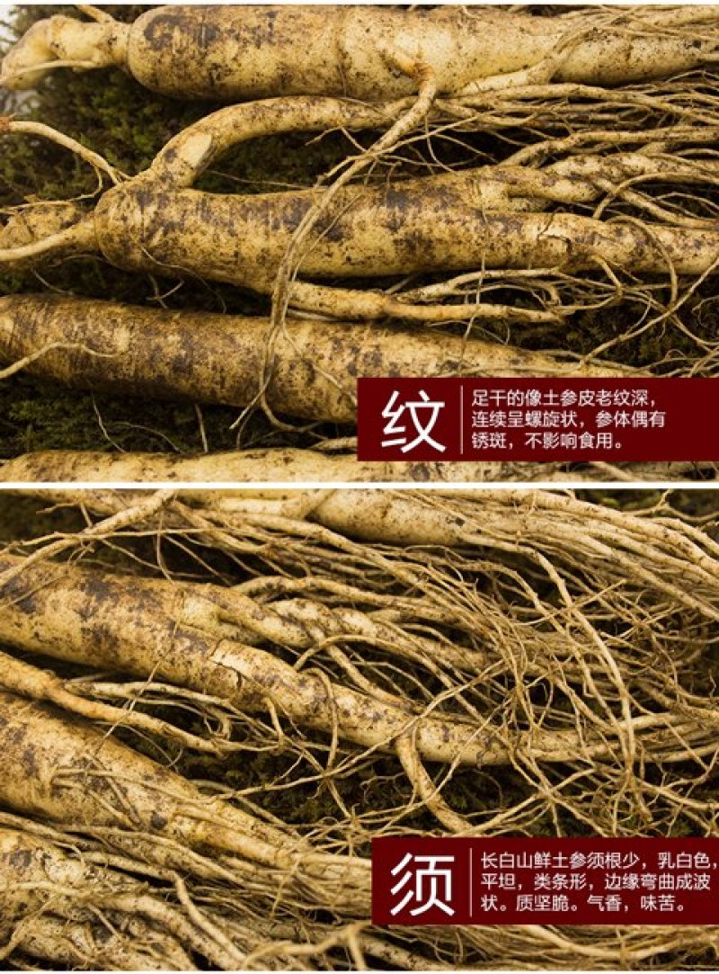 人参一斤12头到15头鲜参