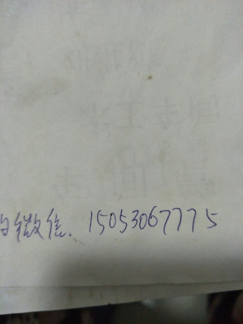 香椿木