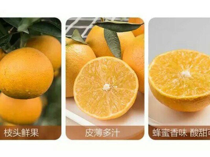 爱媛果38号冻橙现货代办代收一件供应链爱媛果冻橙38号