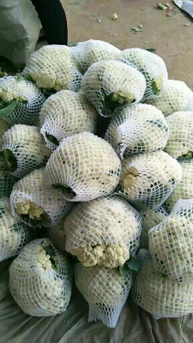 精品松花质量有保证，产地真供，专业包装团队