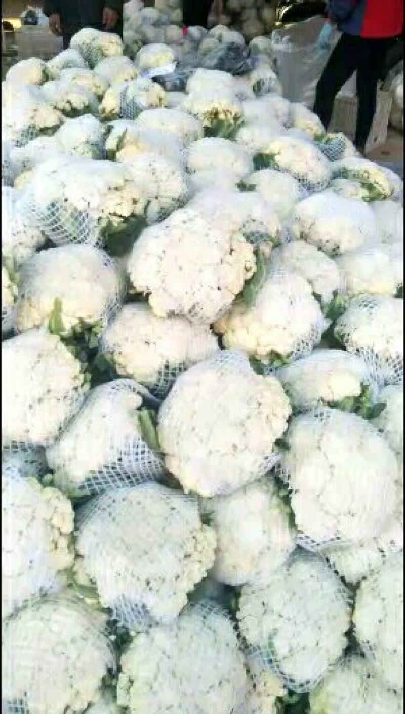 精品松花质量有保证，产地真供，专业包装团队