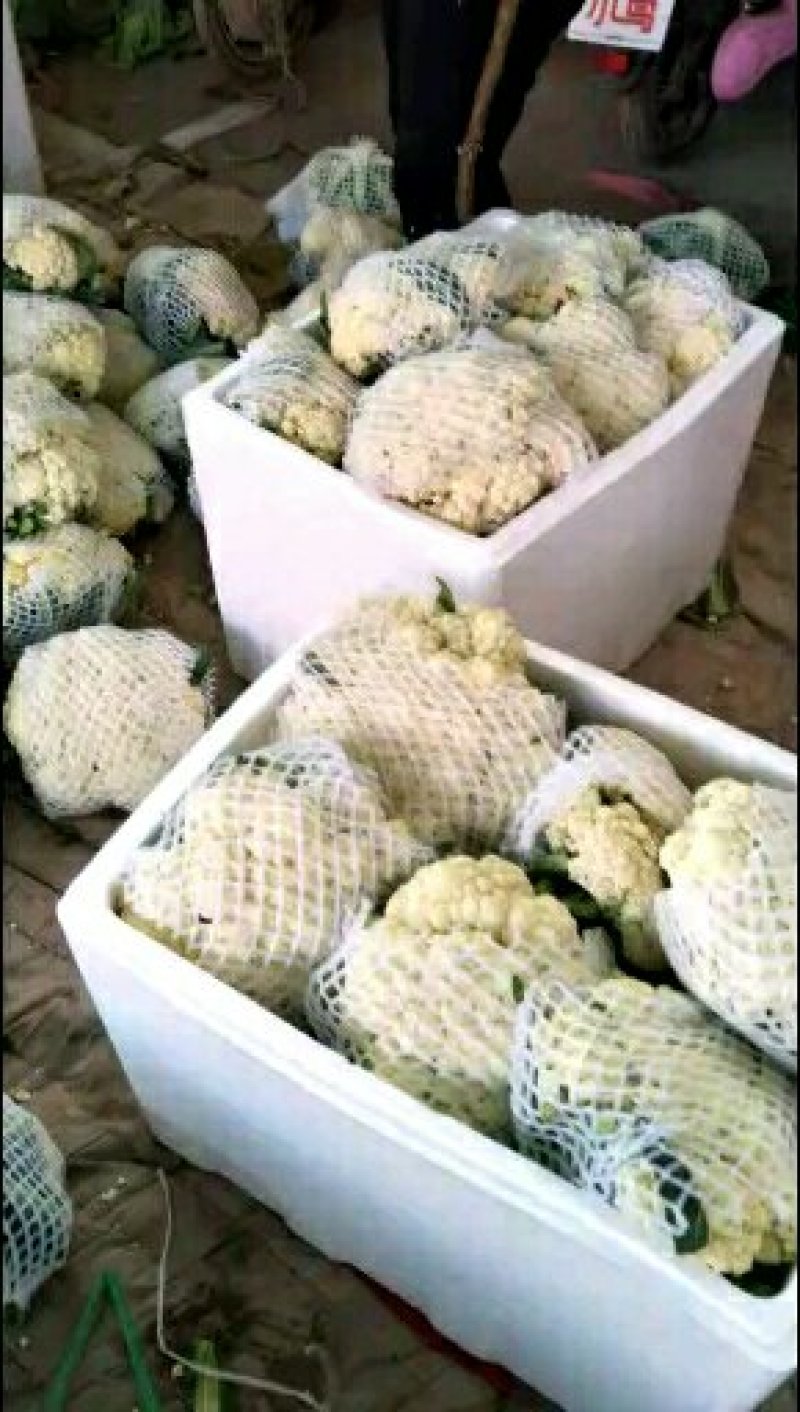 精品松花质量有保证，产地真供，专业包装团队