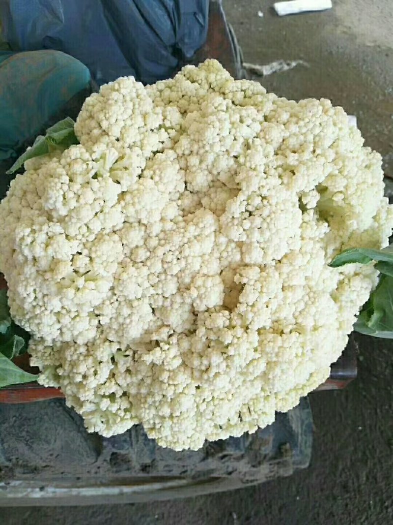 精品松花质量有保证，产地真供，专业包装团队