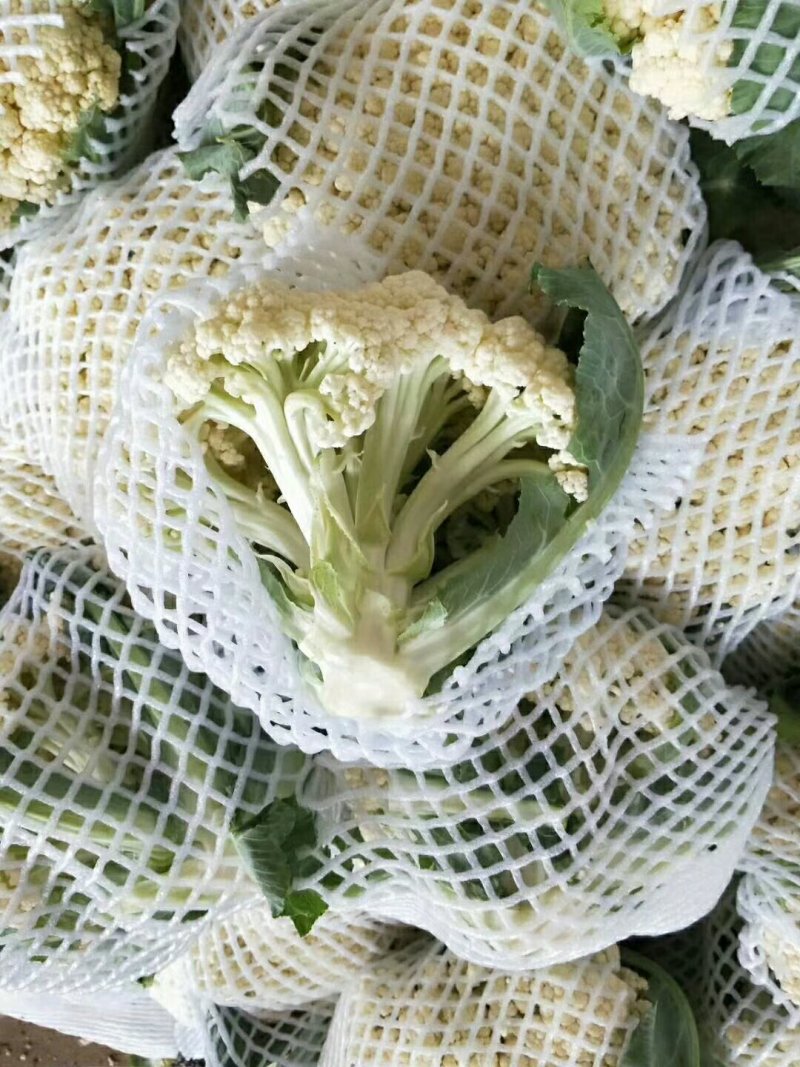 精品松花质量有保证，产地真供，专业包装团队