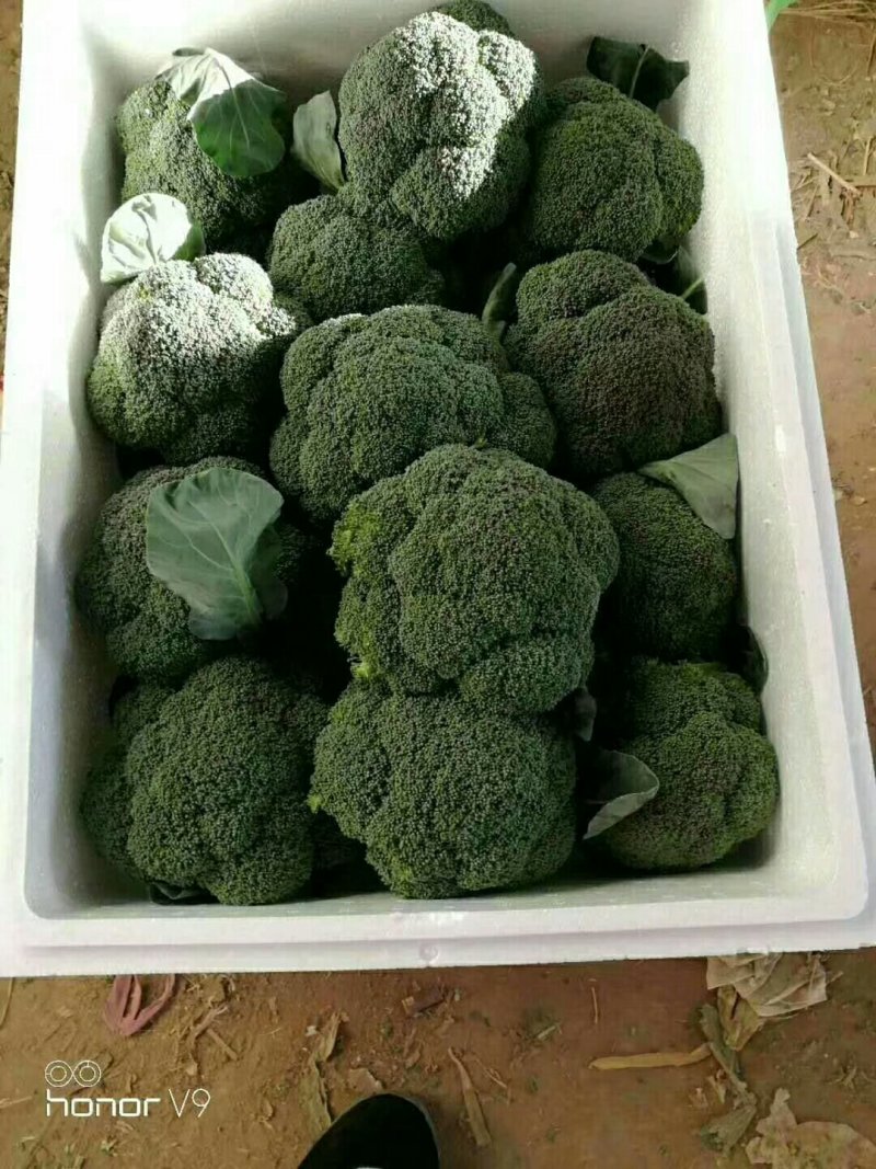 精品松花质量有保证，产地真供，专业包装团队