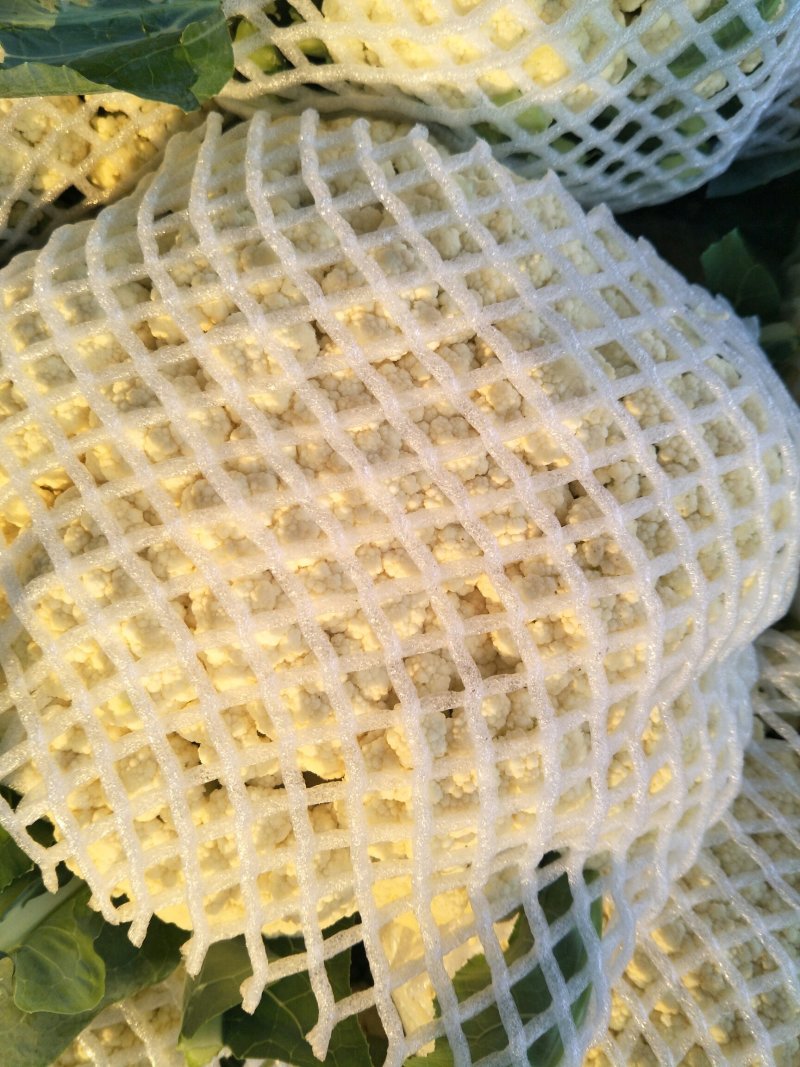 精品松花质量有保证，产地真供，专业包装团队