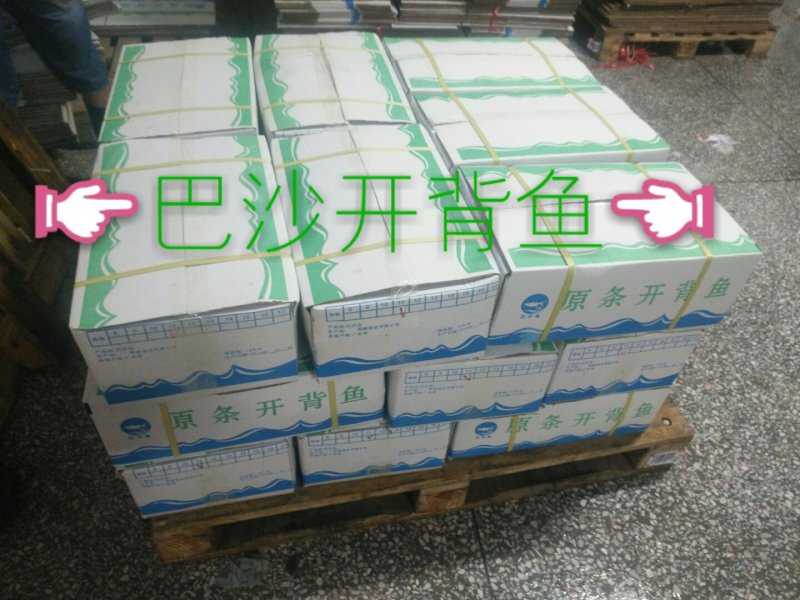 巴沙鱼