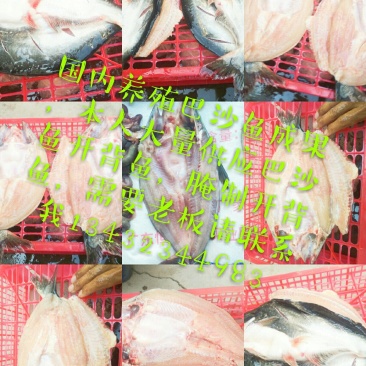 巴沙鱼