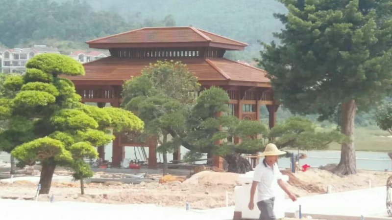 原生缅甸柚木地板家具，整装定制！保值包回购！