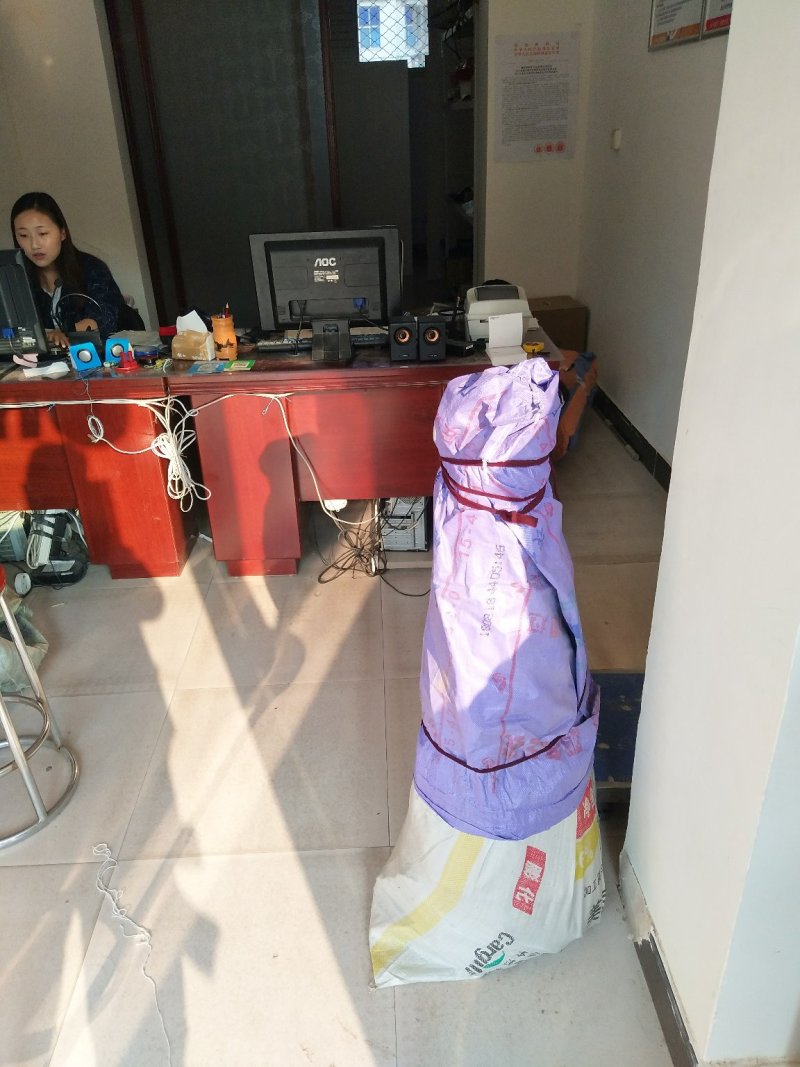 蟠桃树苗蟠桃树苗，品种齐全，自家苗圃培育出售。