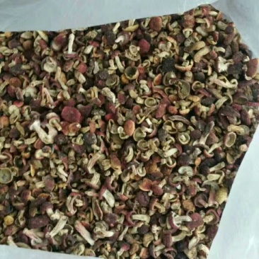 野生红菇