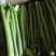剁头西芹。70公分左右3毛。毛菜也同时大量上市中。