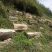 野生秦岭深山棒棒桶土蜂蜜42度2斤装