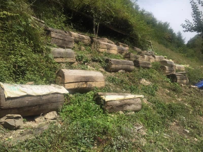 野生秦岭深山棒棒桶土蜂蜜42度2斤装