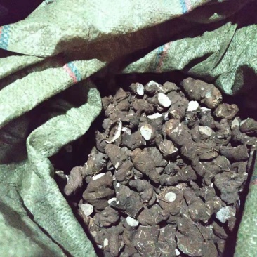 干粉质华重楼，统个