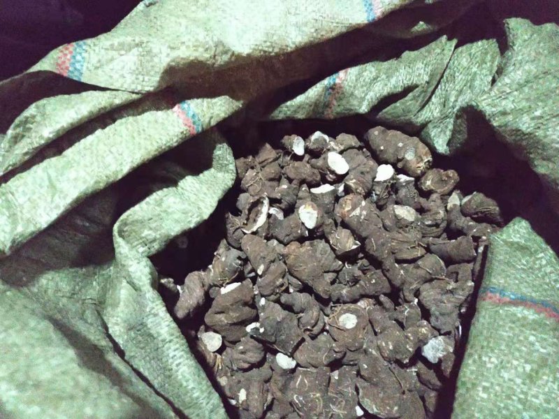 干粉质华重楼，统个