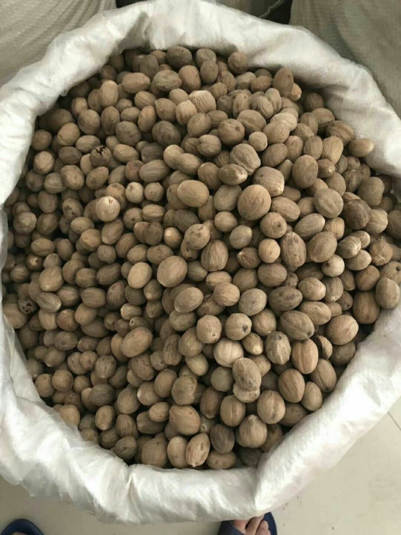 肉豆蔻