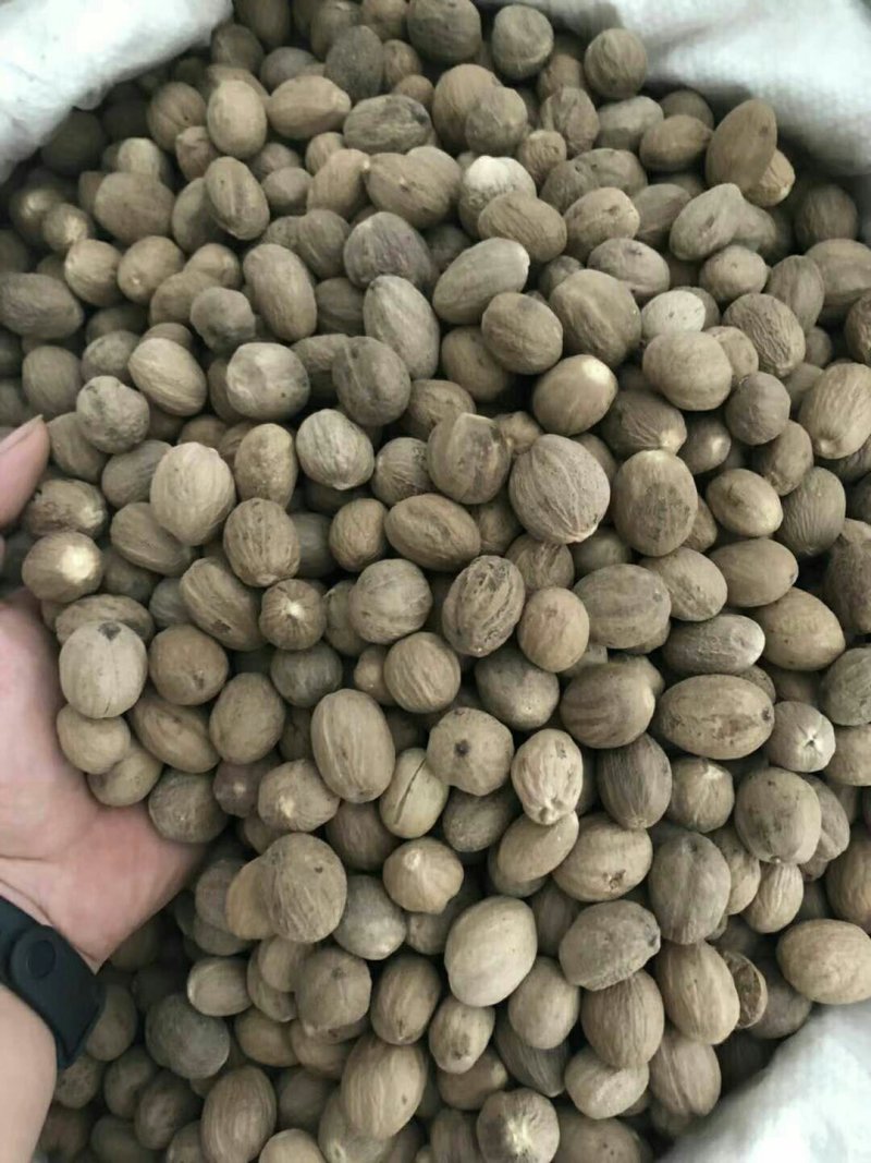 肉豆蔻