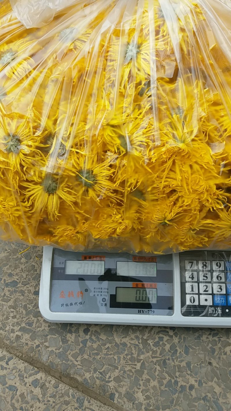 金丝黄菊瓶装