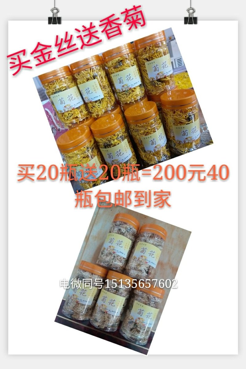 金丝黄菊瓶装