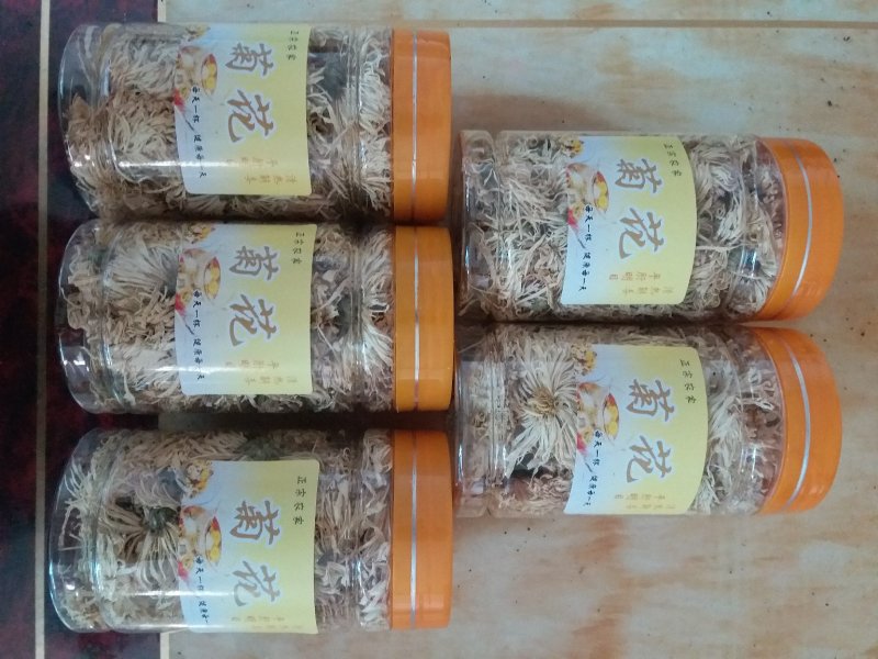 金丝黄菊瓶装