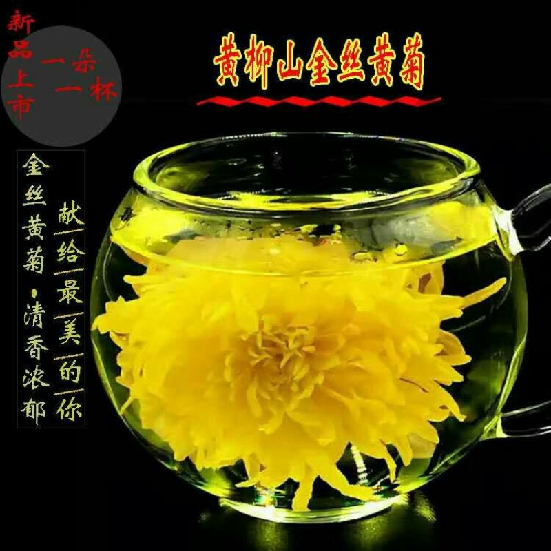 金丝黄菊