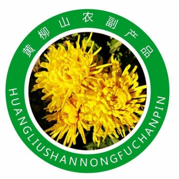 金丝黄菊