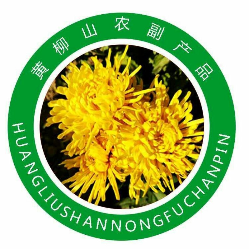 金丝黄菊