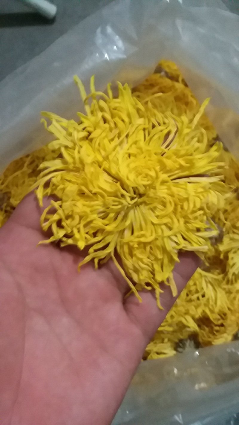 泡袋装金丝黄菊