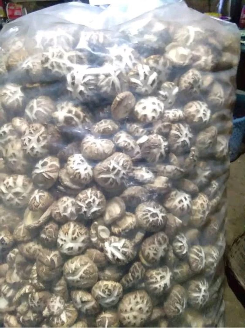 花姑带料纯白花姑