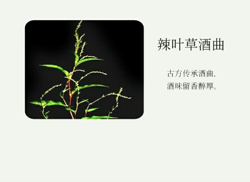 桃林园糯米酒红颜知己农家自酿甜酒糯米酒紫薯甜果酒50