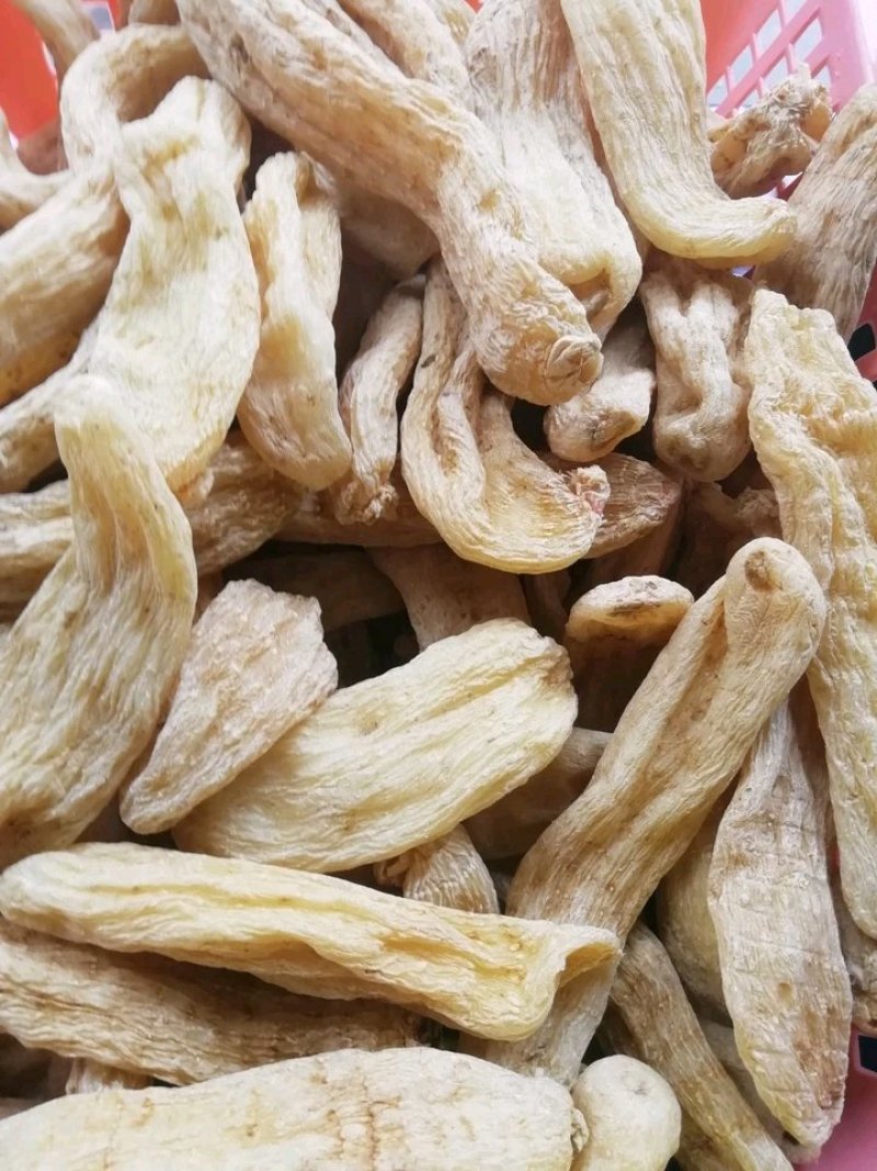 天麻一级陕西秦岭