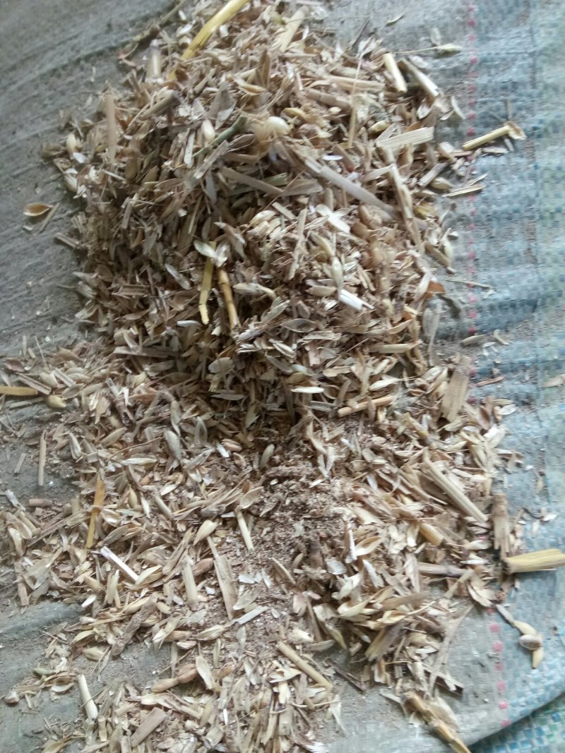覆盖竹笋专用麦糠灰砻糠