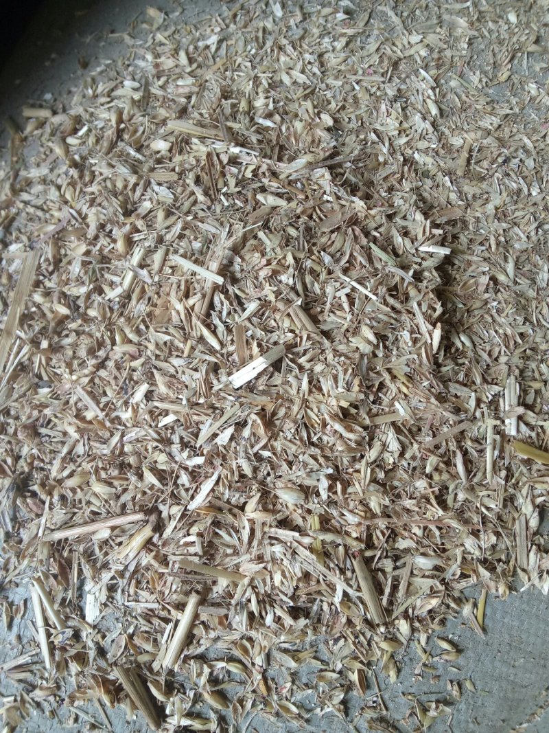 覆盖竹笋专用麦糠灰砻糠