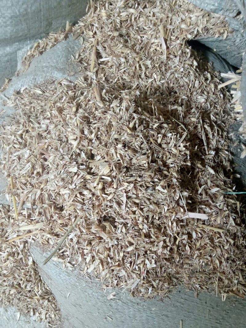 覆盖竹笋专用麦糠灰砻糠
