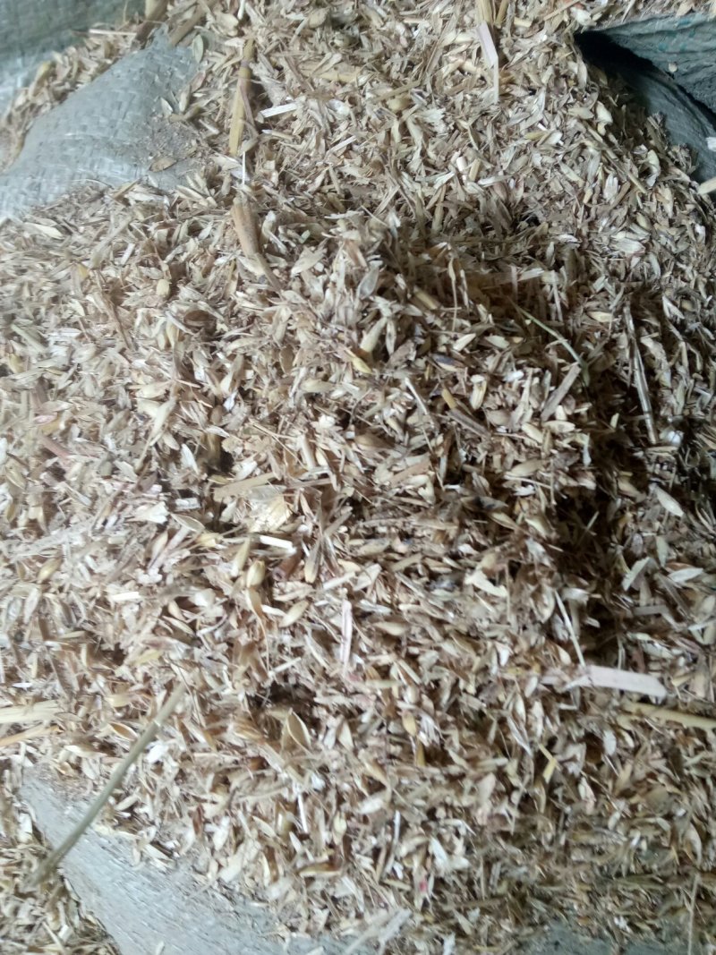 覆盖竹笋专用麦糠灰砻糠