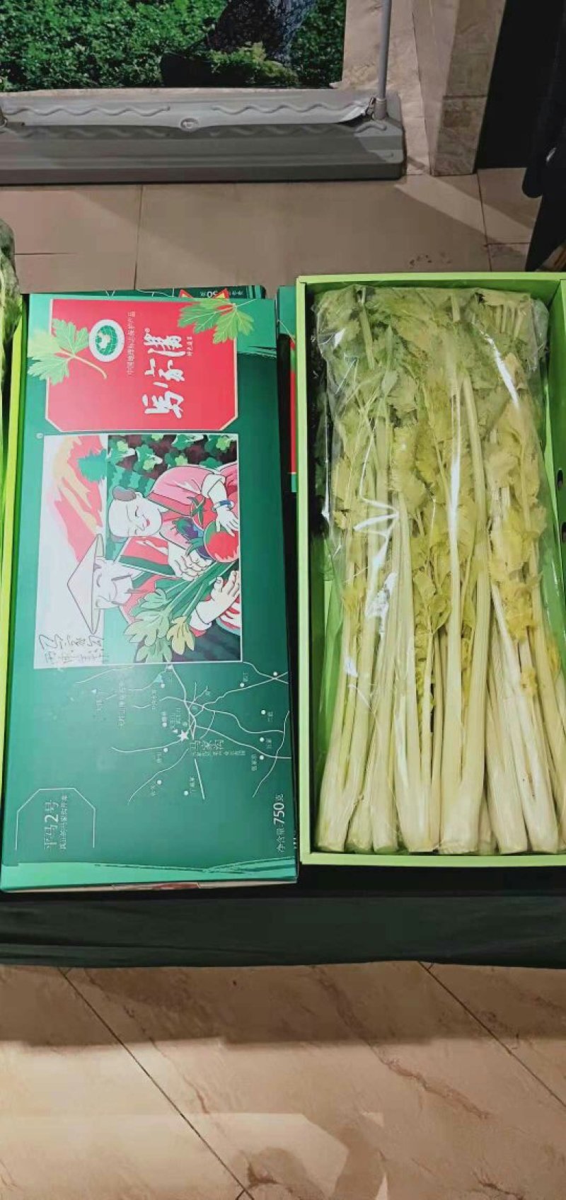 马家沟牌发酵有机菌种植芹菜
