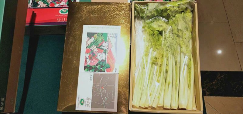 马家沟牌发酵有机菌种植芹菜